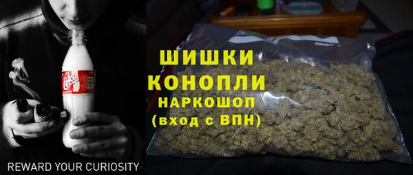 дживик Касимов