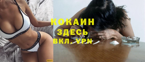 молекула духа Карпинск