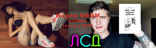 дживик Касимов