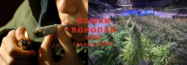 дживик Касимов