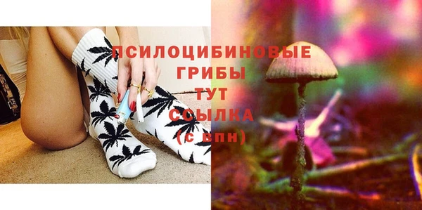 дживик Касимов