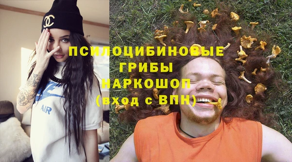 молекула духа Карпинск