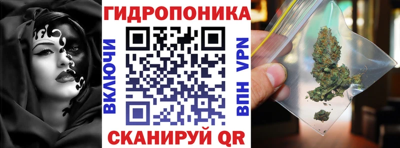 Шишки марихуана OG Kush  Княгинино 